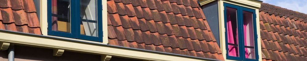 Dakrenovatie Herkenbosch